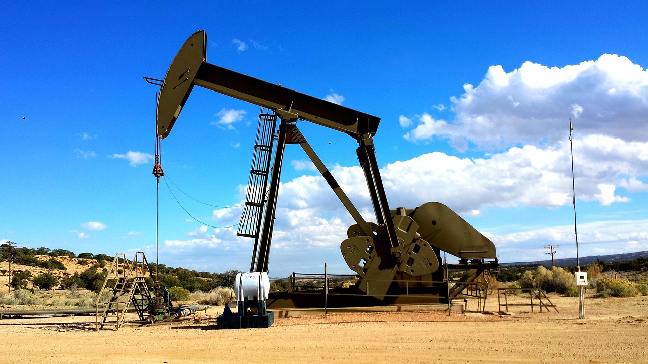 Understanding the Dynamics of Pump and Dump Schemes